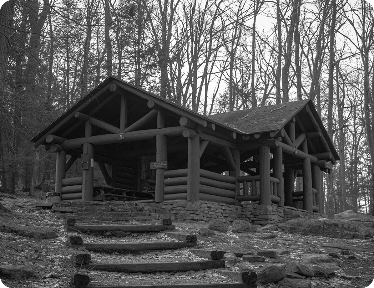 black and white image of a log cabin in the woods, with stairs and a path leading up to it