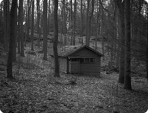 black and white image of a cabin in the middle of the woods, with only trees surrounding it